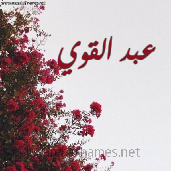 شكل 18 صوره الورد الأحمر للإسم بخط رقعة صورة اسم عبد القوي Abdulqawi